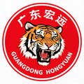 广东宏远队徽特写